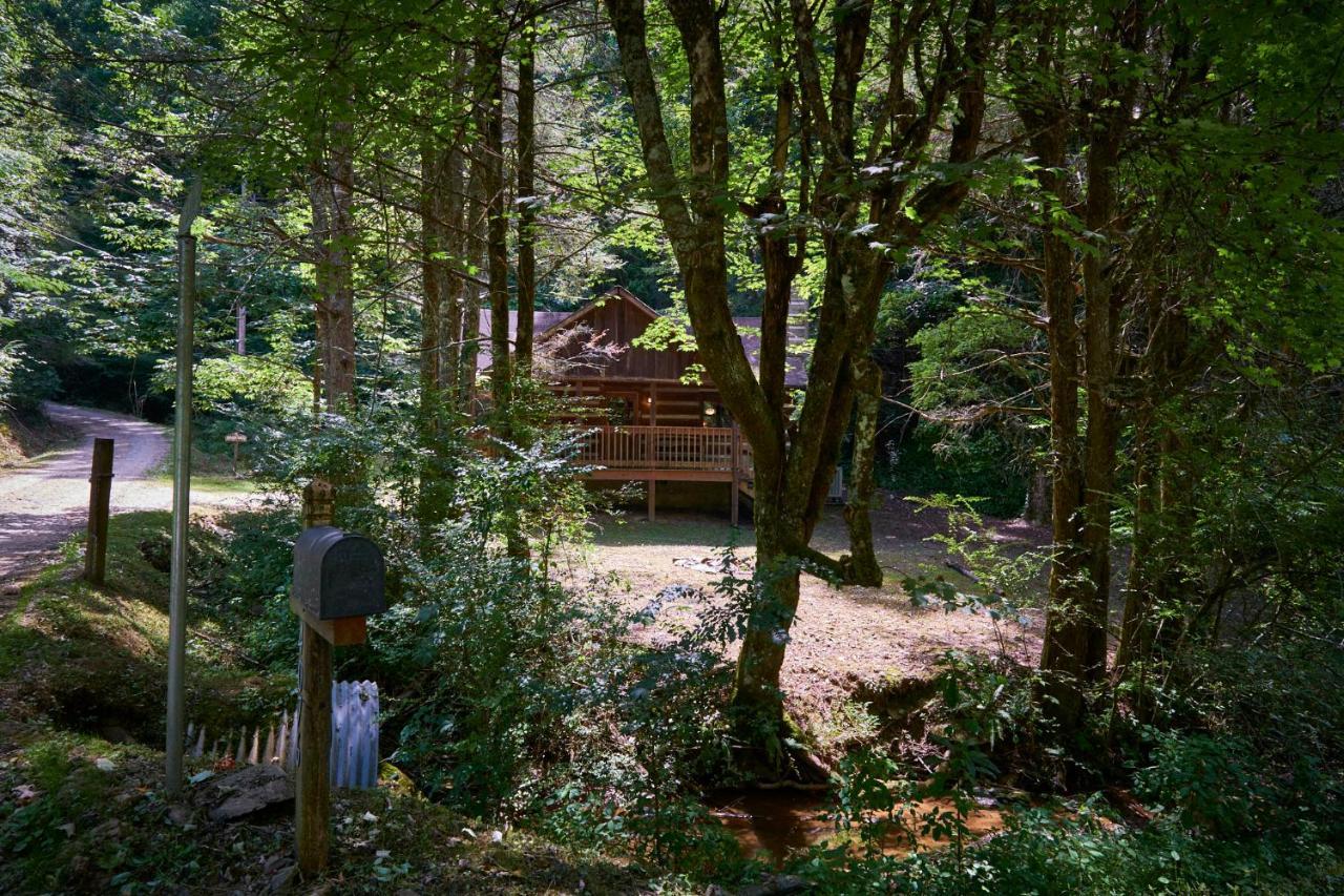 A Cabin In The Woods Pigeon Forge Luaran gambar