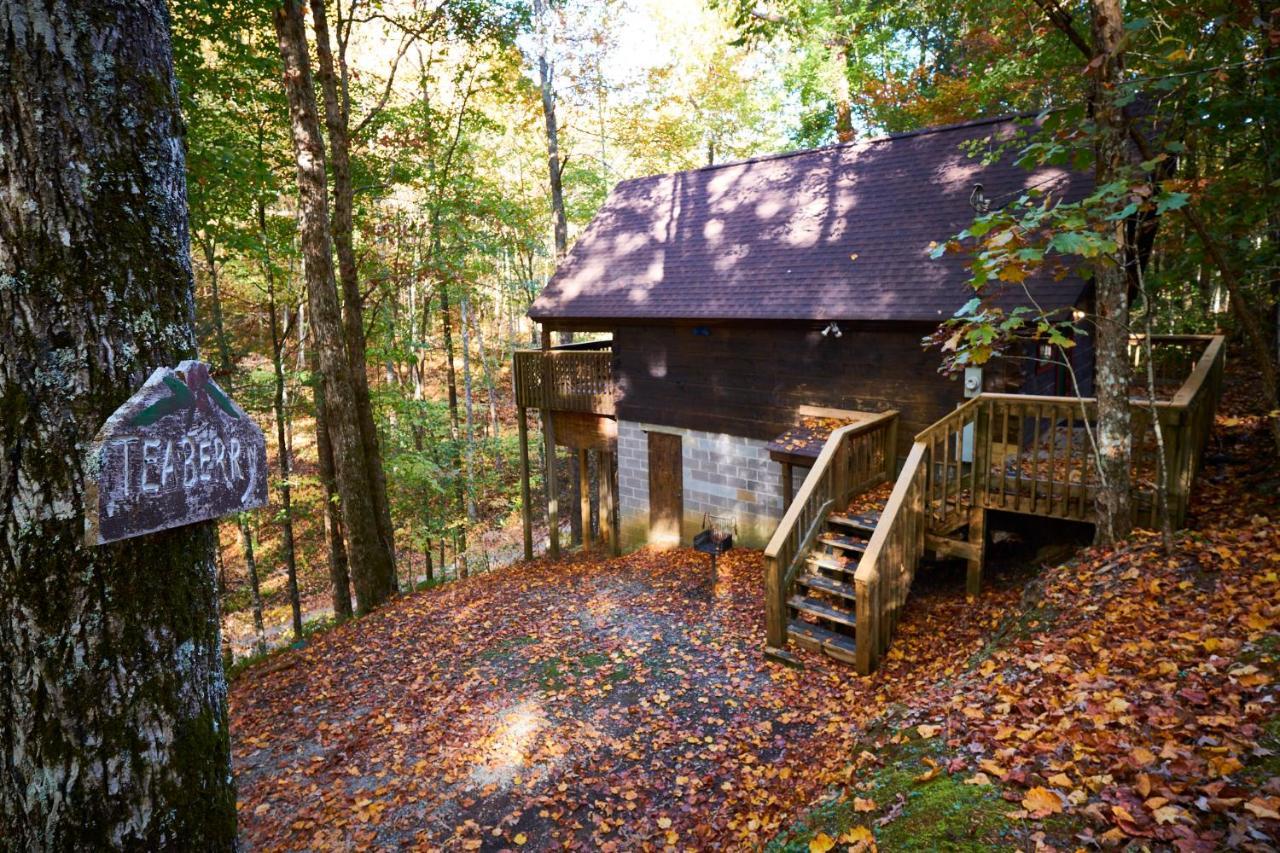 A Cabin In The Woods Pigeon Forge Luaran gambar